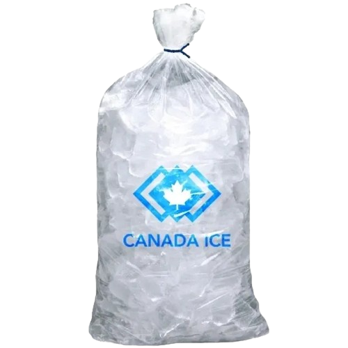 A bag of ice that is sitting on the ground.