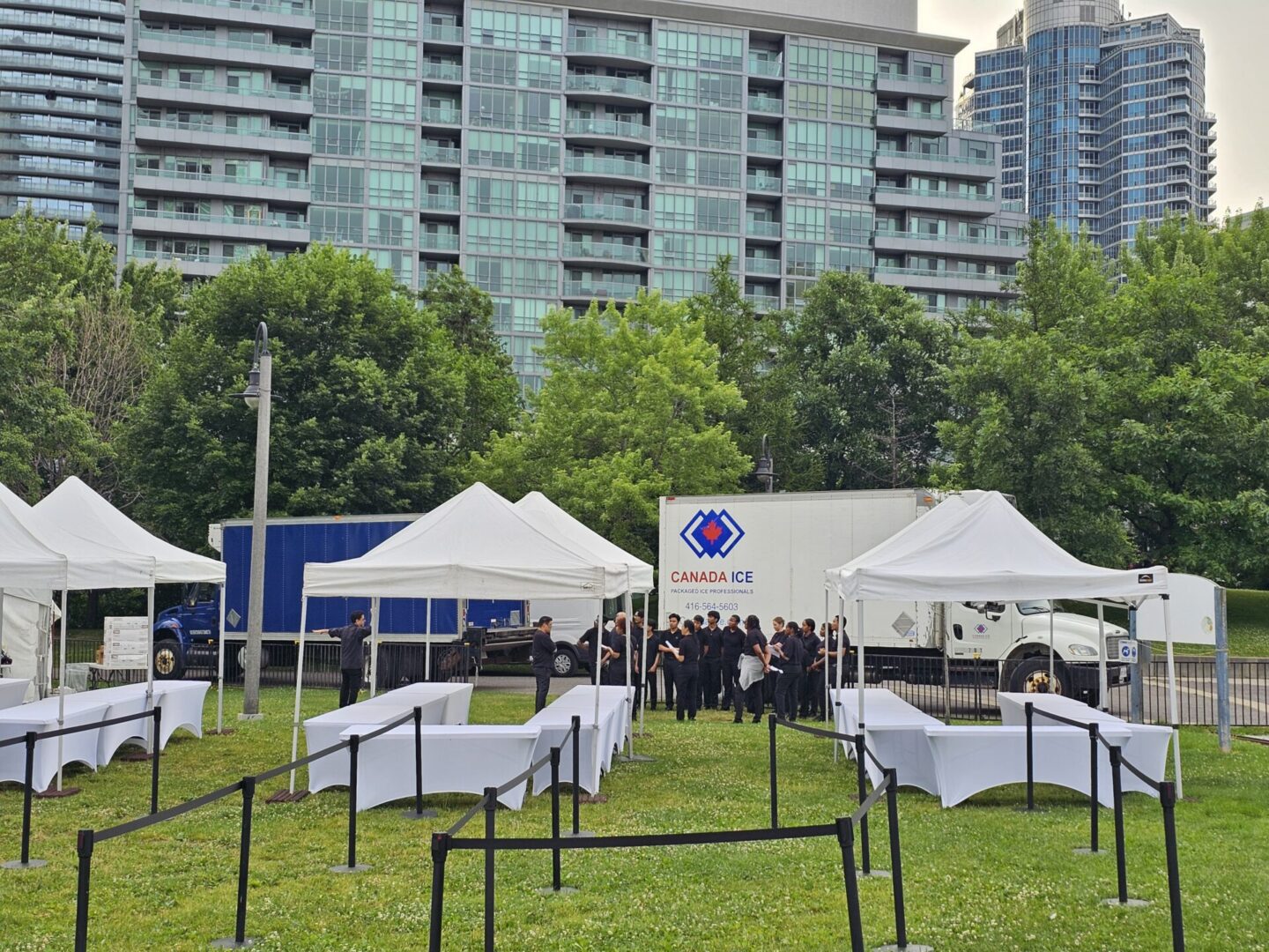 A group of people standing around tents in the grass.